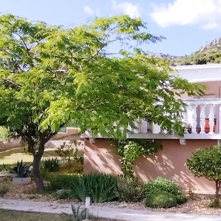 The Garden Of Elais Villa Šibenik Eksteriør bilde