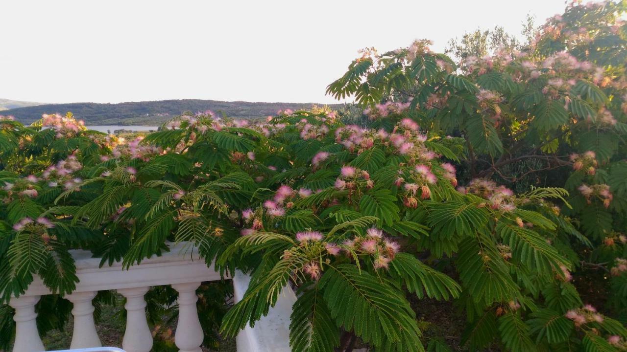 The Garden Of Elais Villa Šibenik Eksteriør bilde